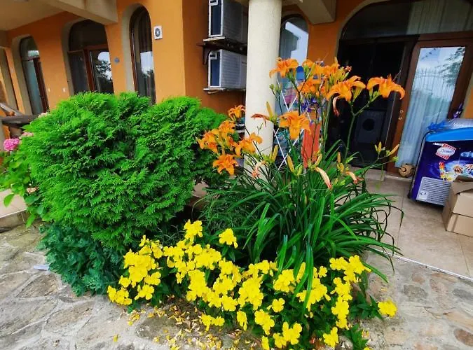 Cozopol Budjaka