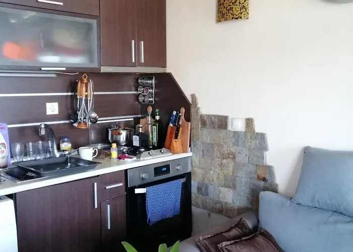 公寓 Cozopol Budjaka *