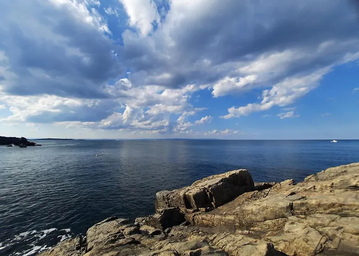 Cozopol Budjaka 公寓