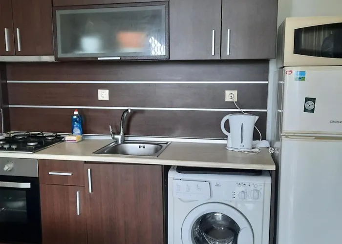 公寓 Cozopol Budjaka *